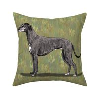 Blue Greyhound for Pillow