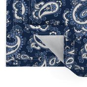 Ramona Paisley - Navy