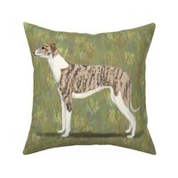 Brindle and White Whippet for Pillow