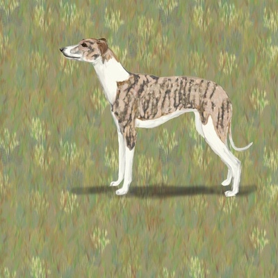 Sighthound Keyrings - Whippet / Greyhound / Lurcher / Iggy's Grey/Blue