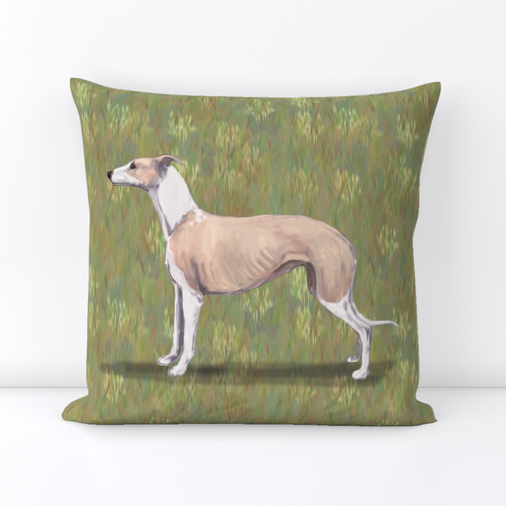 Fawn and White Whippet for Pillow