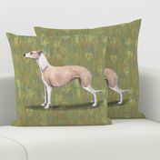 Fawn and White Whippet for Pillow