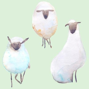 Counting Sheep - Minty Green Background