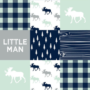 little man patchwork quilt top || the northern lights collection