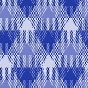 triangle gingham in morning blue