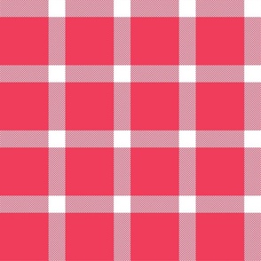 Buffalo Check Gingham Red - Christmas 16'