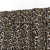 classic leopard