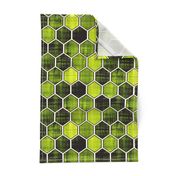 Nature Green Texture Hex 