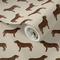 chocolate lab fabric labrador retriever fabric design dog dogs print dog fabrics design