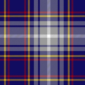 Nevada official tartan - 6"