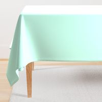 solid pale surf aqua (BDF6E9)