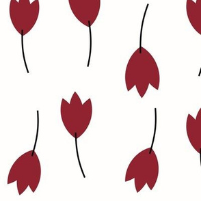 Tulips - ruby red on white floral flowers spring || by sunny afternoon