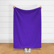 triangular purple gingham