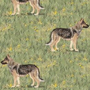 German Shepherd Dog in Wildflower Field yellow