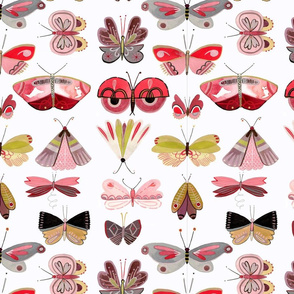 Butterfly Collection