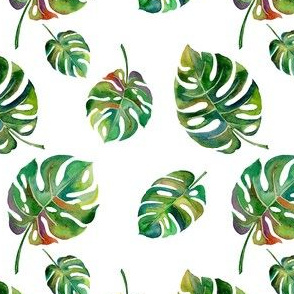 Tropical Island Palms Palm Leaves Watercolor