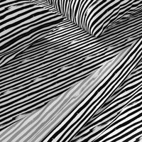  Black and White Brush Stroke Painted Stripes Artistic Distressed