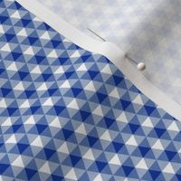 mini English blue triangle gingham