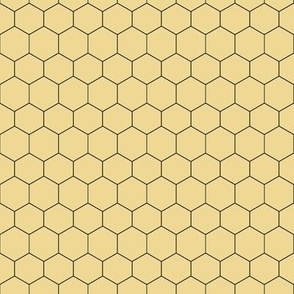 honeycomb thin black lines on sand