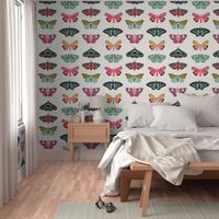 moths // butterflies fabric moth design nature botanical fabric print