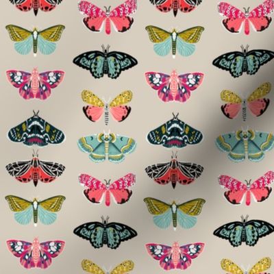 moths // butterflies and moths fabric nature botanical print andrea lauren fabric