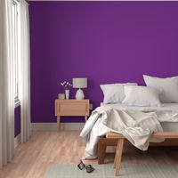 BFM30 - Vivid Violet Solid, a coordinate for Violet Butterfly Marble