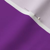 BFM30 - Vivid Violet Solid, a coordinate for Violet Butterfly Marble