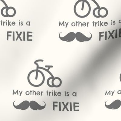 My other trike is a fixie, trike, bicycle, kids , babies
