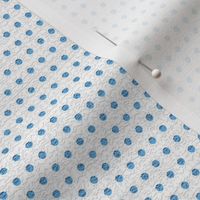 Harmonious Blue Dots for Raspberries Collection