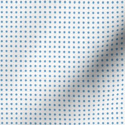 Harmonious Blue Dots for Raspberries Collection