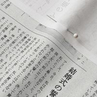 Japanese Newspaper