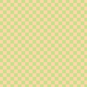 Cool Spring Green and Cantaloupe Checkerboard