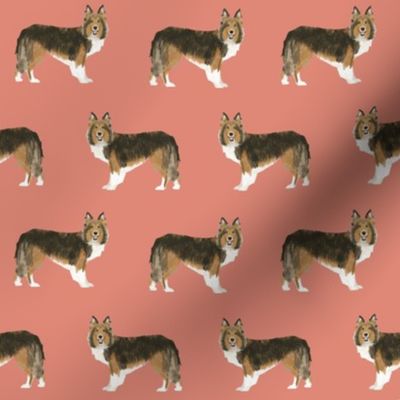 sheltie fabric sable and white shetland sheepdog design cute sheltie dog fabric