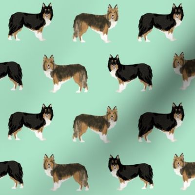 sheltie dog fabric tri colored black and tan sheltie shetland sheepdog sable and white dogs, best dog fabric