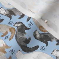 Cascading Ferrets - small blue