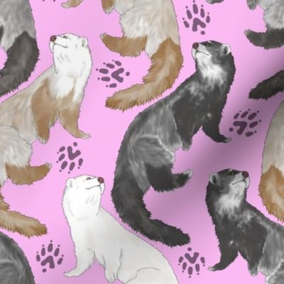 Cascading Ferrets - medium pink