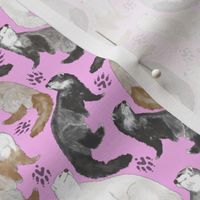 Cascading Ferrets - small pink