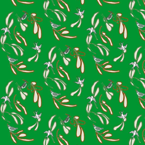 Mistletoe for Year-Round