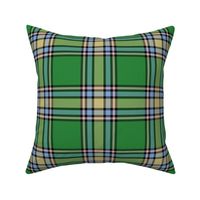 Alberta Province tartan, 6" light