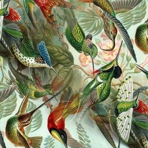 Vintage Hummingbirds (Small/Rotated)