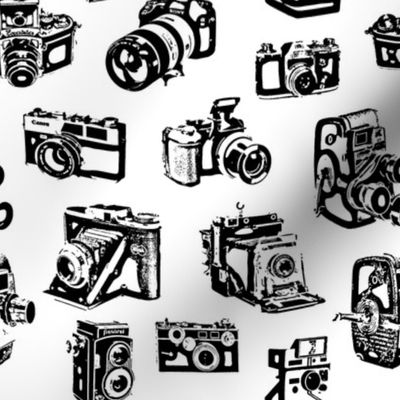 Stylized Vintage Cameras