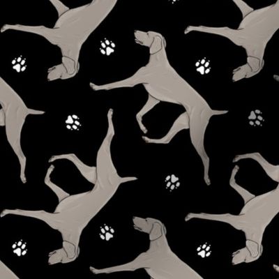 Trotting Weimaraner and paw prints - black