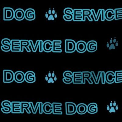 Basic Service dog text - turquoise