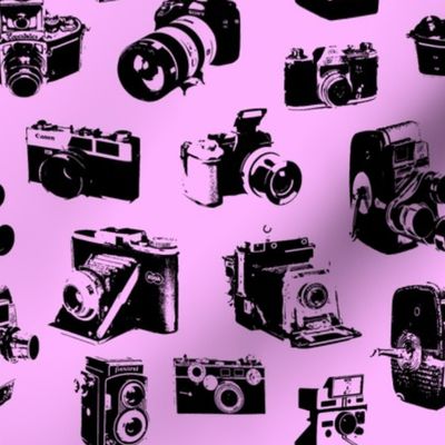 Vintage Cameras - Pink