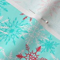 Snow Day Snowflakes in Cherry and Aqua