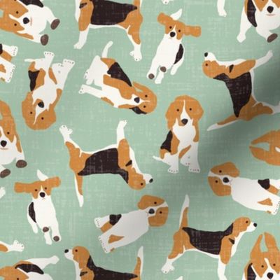 beagle scatter mint