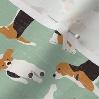 beagle scatter mint