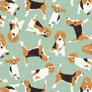 beagle scatter mint