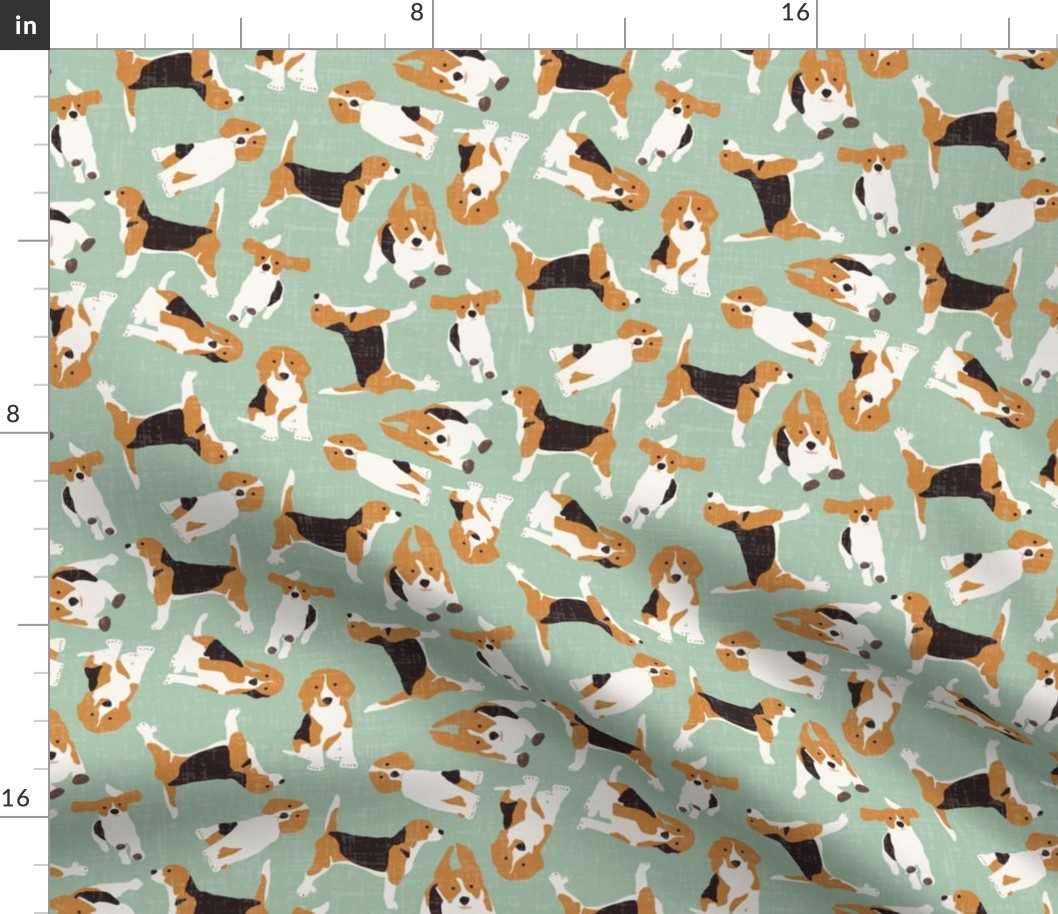 beagle scatter mint