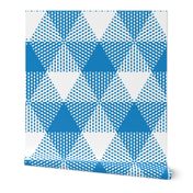 butterfly blue triangle gingham